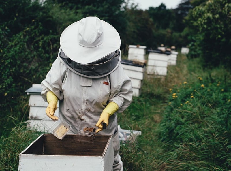 beekeeper’s suit is an essential part of beekeeping equipment